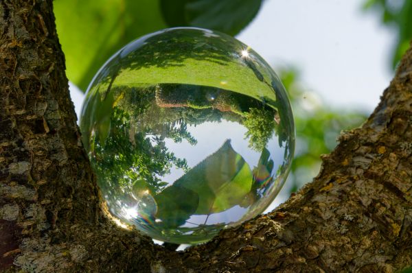 "Reflet zen" de Myriam Bousquet (SDAR)